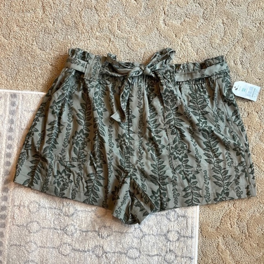 Time and tru shorts NWT